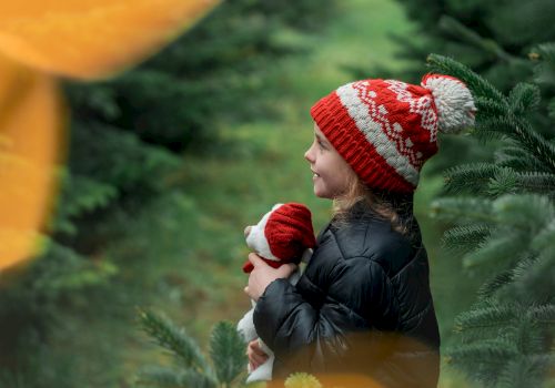 A child in a festive hat holds a toy, surrounded by evergreen trees.