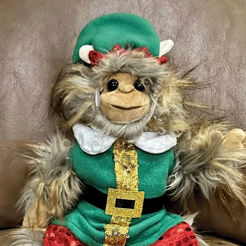 A furry toy dressed as an elf with a green hat, gold belt, and red pants, sitting on a brown surface.