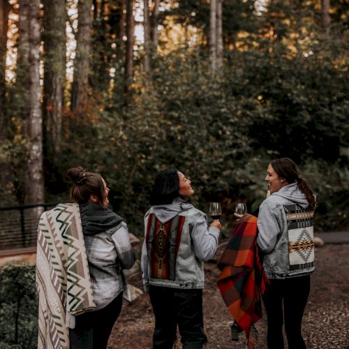 Three people walk through a wooded area, draped in blankets, enjoying a peaceful moment among tall trees and nature.