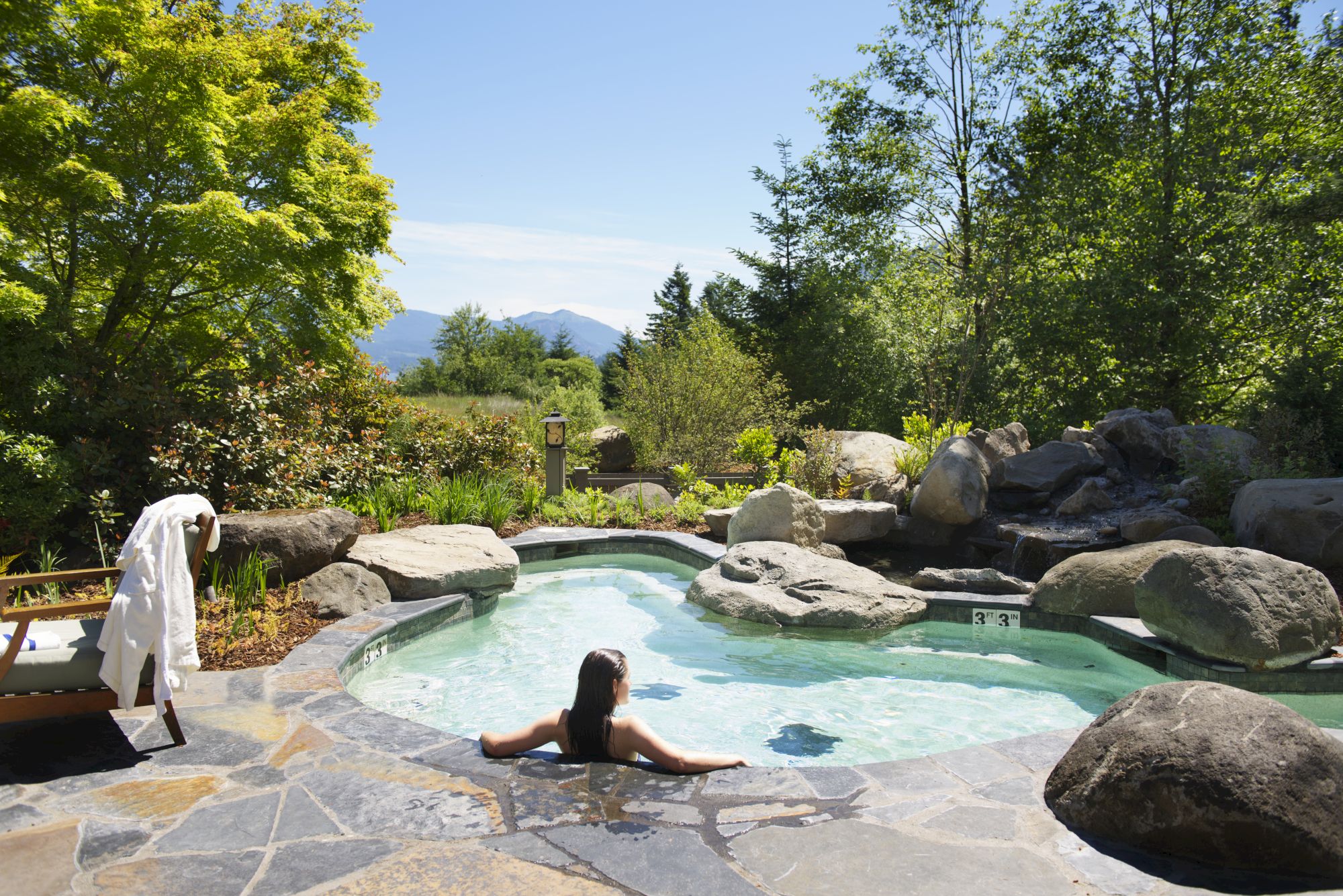 An outdoor pool/hot tub with rocky landscaping, lush trees, and a distant mountain under a clear blue sky.