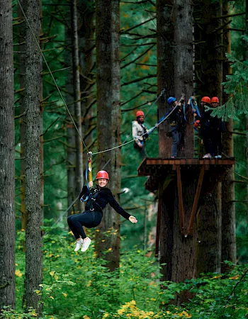 A zipline course in a green forest, with people in red helmets crossing between platforms on cables.