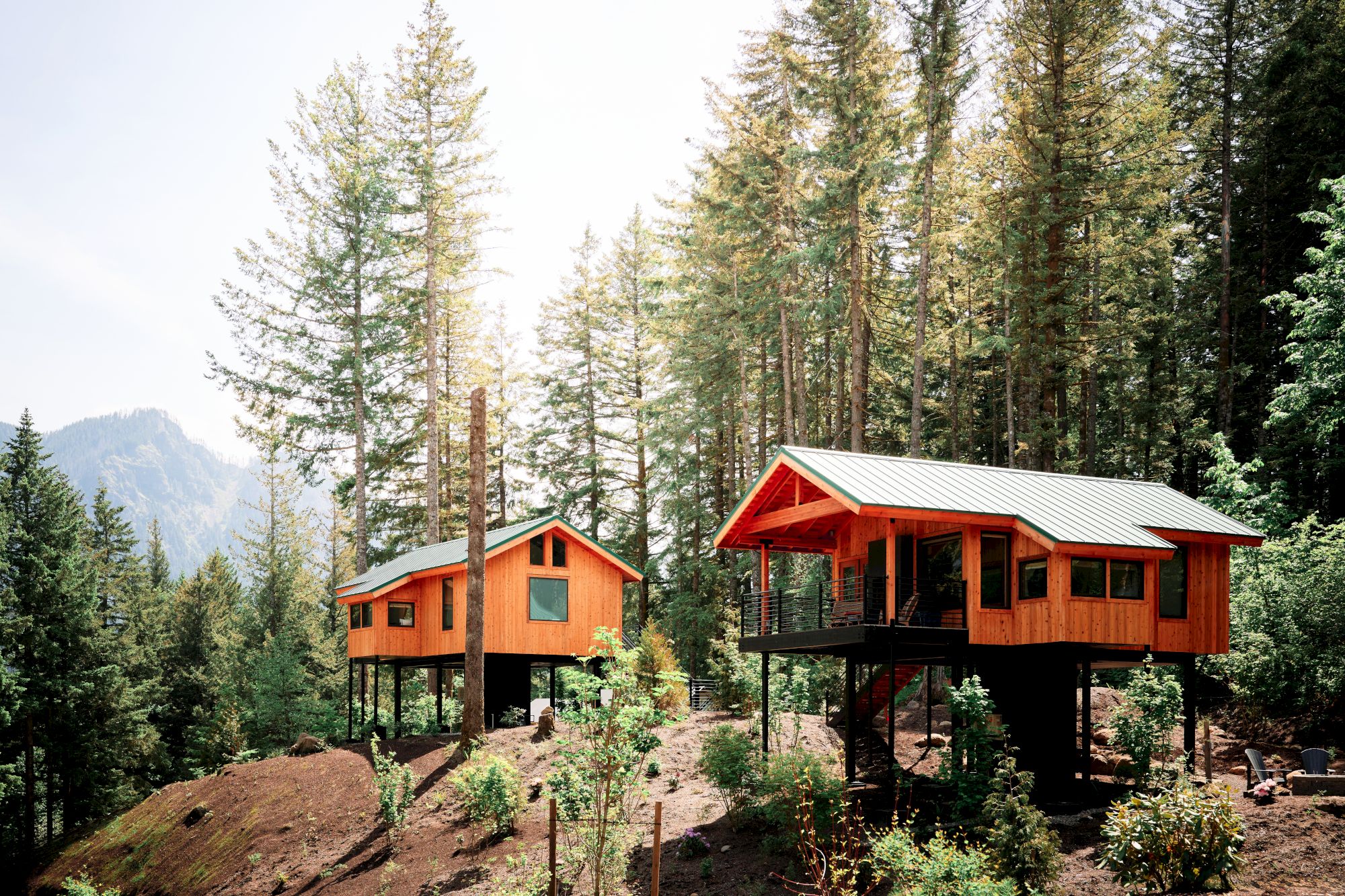 Two wooden cabins on stilts with green roofs sit in a lush forest of tall trees, with distant mountains under a bright sky.