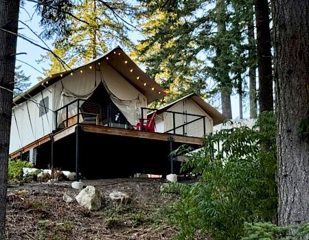A forest treehouse glamping tent on stilts, with warm string lights and a deck, tucked among tall pine trees.