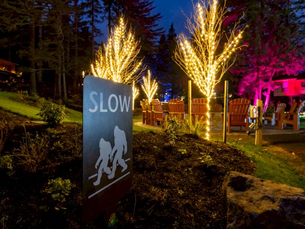 At night, a yard event glows with LED-lit trees, pink and warm lights, and a &ldquo;SLOW&rdquo; sign by a seating area.