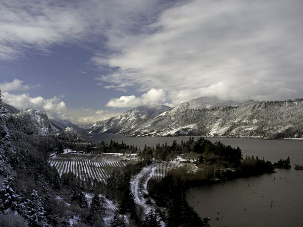 Snowy mountains and pine-covered hills frame a still lake, with winter vineyards, fields, and scattered trees beneath a cloudy sky.