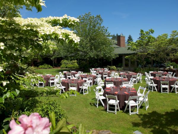 An outdoor garden setup with round tables covered in cloth and surrounded by white chairs, under a clear blue sky.