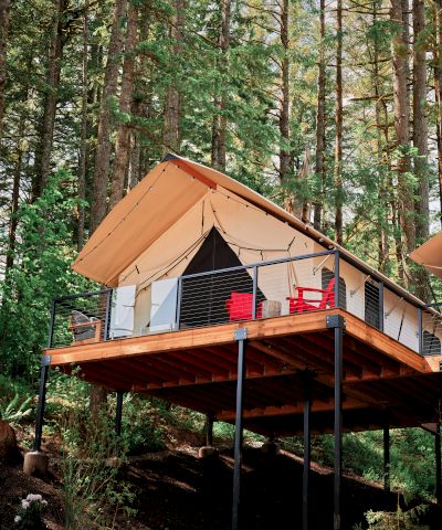 A canvas glamping tent sits on a wooden deck among towering pine trees in a quiet forest.