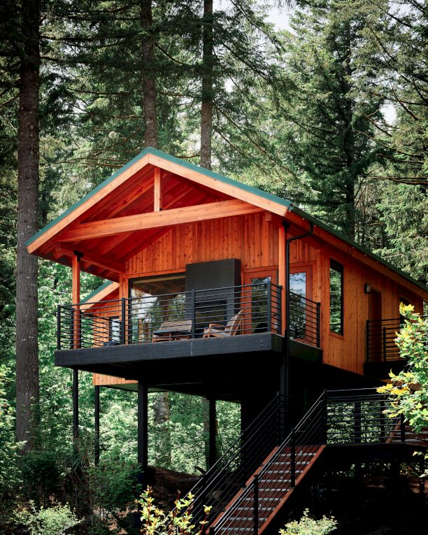 A wooden cabin perched on stilts amid tall evergreen trees, with a wraparound balcony and stairs leading down into the forest.