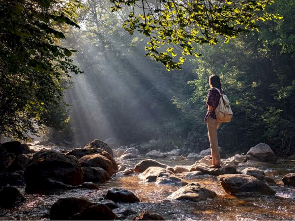 A person with a backpack stands on rocks by a stream, surrounded by trees. Sunlight filters through the branches, creating a serene scene.