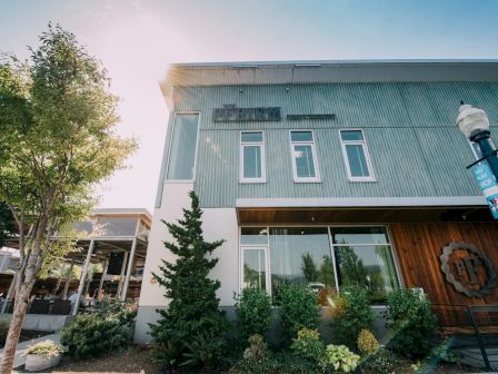 A modern building with large windows, surrounded by greenery, under a bright sky. Sunlight streams through the trees, creating a serene atmosphere.