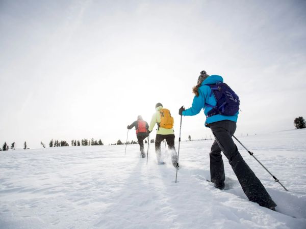 Three people in winter gear are hiking with poles across a snowy landscape, surrounded by a few trees in the distance.