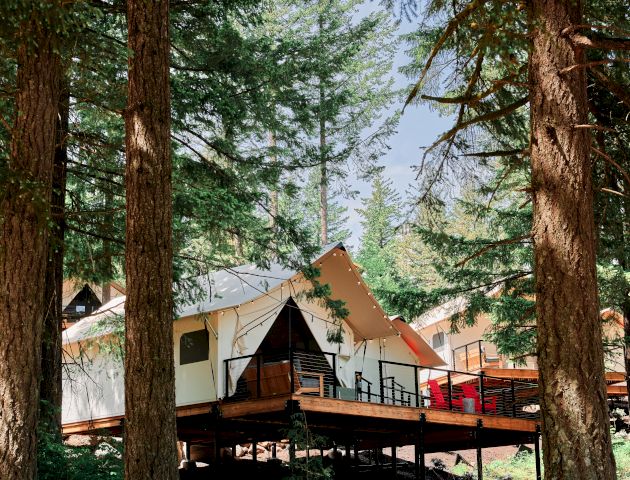 A small cabin on stilts is nestled among tall trees, with a clear blue sky in the background, creating a serene forest scene.