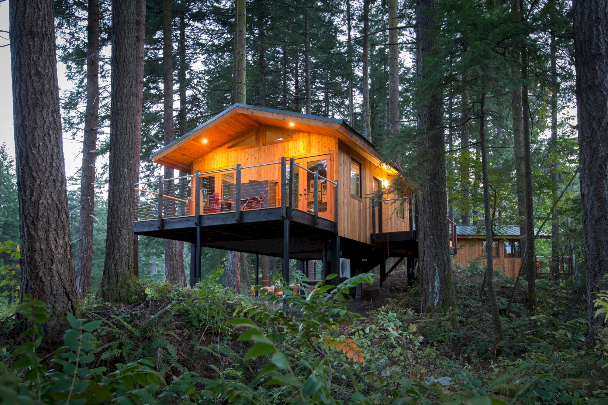 A wooden cabin on stilts is nestled among tall trees, with warm lights glowing from inside, creating a cozy ambiance in a forest setting.