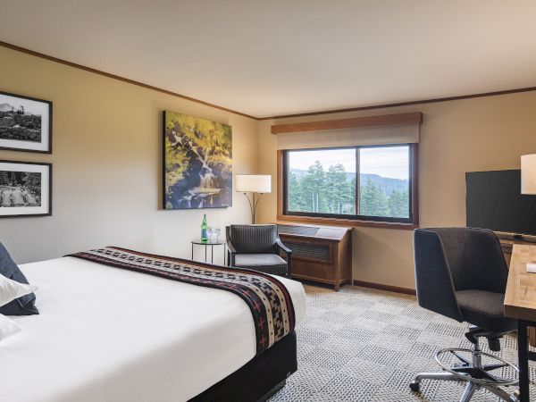 A cozy hotel room with a large bed, desk, lamp, TV, artwork, and window view of trees. A bottle and glass sit on a small table.