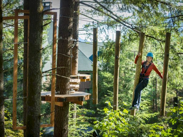 A person is navigating a treetop ropes course, wearing a helmet and harness, surrounded by trees and bright sunlight.