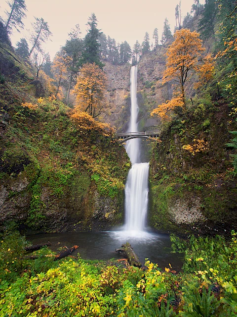 A tall waterfall cascades between cliffs, framed by autumn trees and a lush green foreground, under a soft sky.