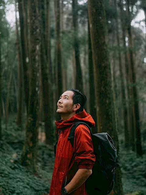 A man in a red jacket with a backpack stands in a dense forest, looking up at the trees.