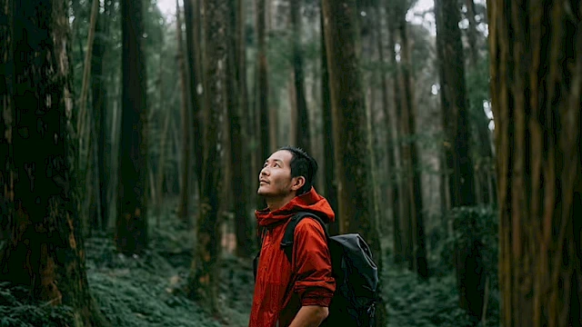 A man in a red jacket with a backpack stands in a dense forest, looking up at the trees.