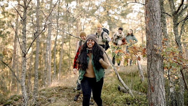 A group of friends hiking through a forest in autumn, walking along a mossy path and chatting, wearing warm jackets and hats, enjoying nature.