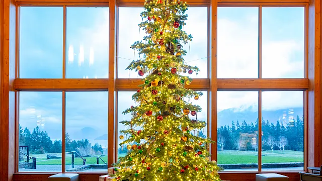 A large decorated Christmas tree with glowing lights and ornaments stands in a cozy wooden living room by snowy windows.