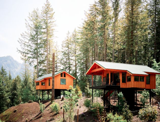 Two elevated orange cabins are surrounded by tall trees in a forested area, with mountains visible in the background under a clear sky.