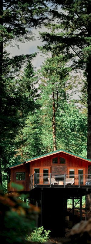 A wooden cabin surrounded by tall trees in a dense forest area, with a slightly elevated structure and an inviting porch.